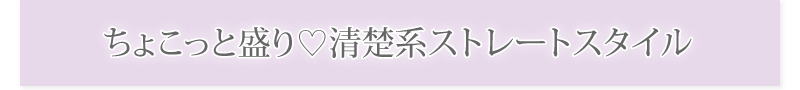 ちょこっと盛りートスタイル