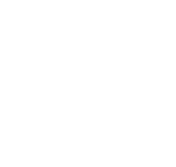 PRISILA NO WIG NO LIFE